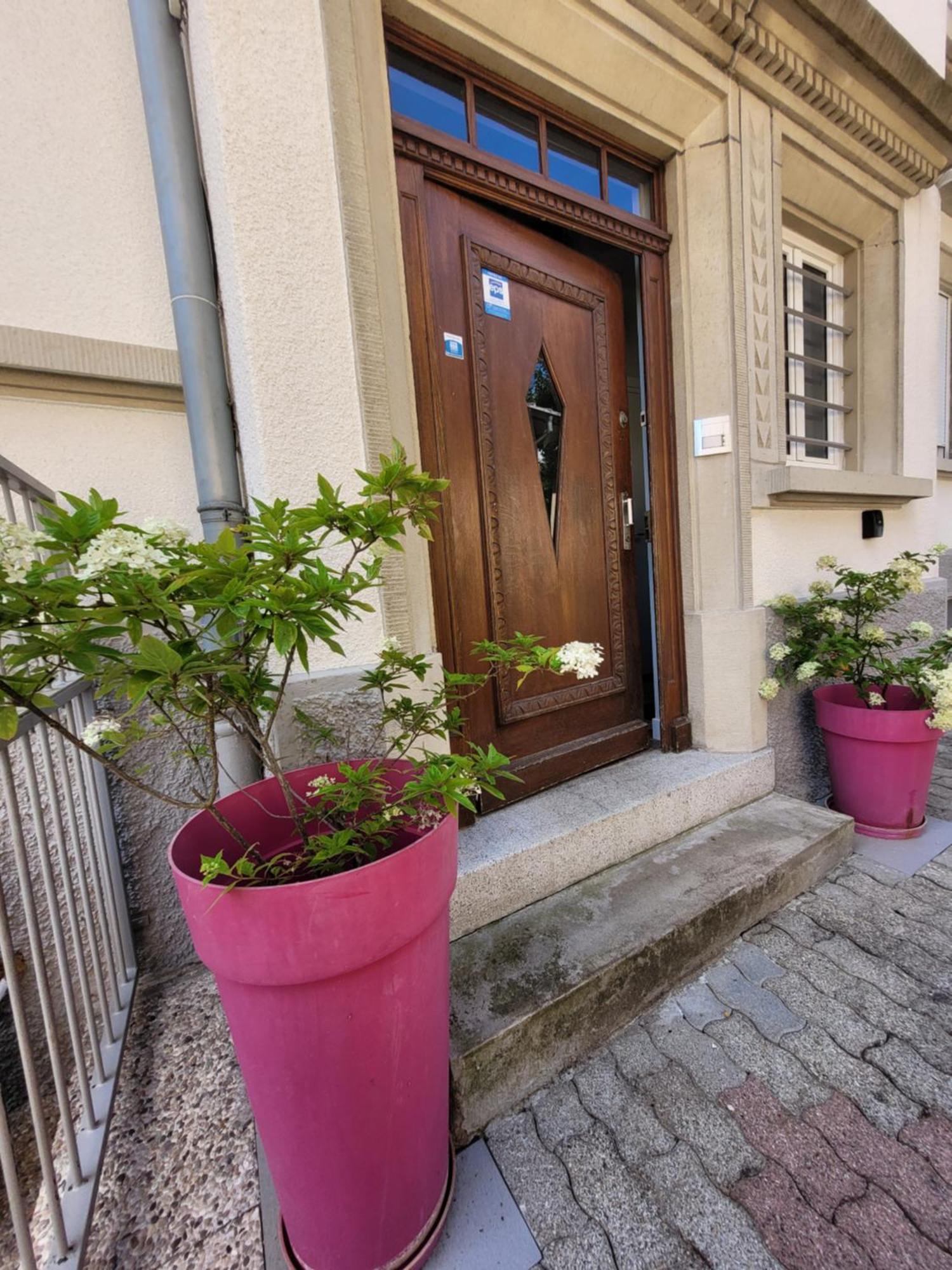 Apartment Le Cocon D'emma, Bourgeois Avec Terrasse, Et Parking Gratuit Dans Maison De Maitre Strasbourg